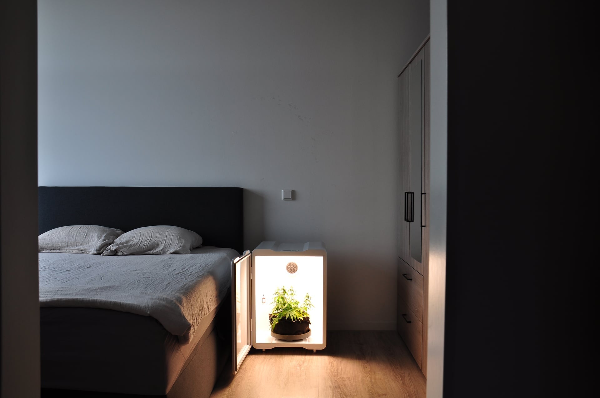 Compact grow box in a small apartment