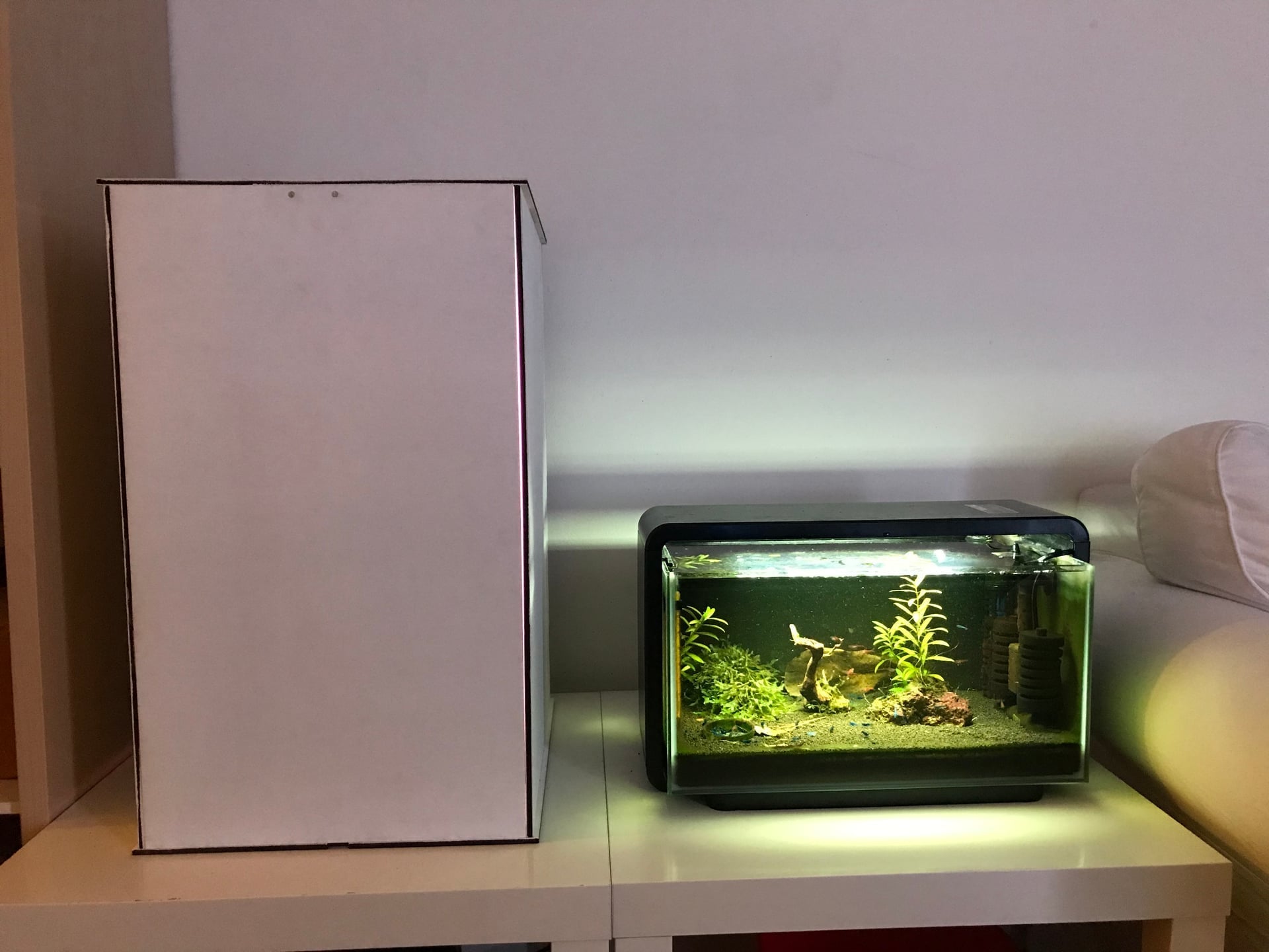 Minimalist indoor grow setup in a small room